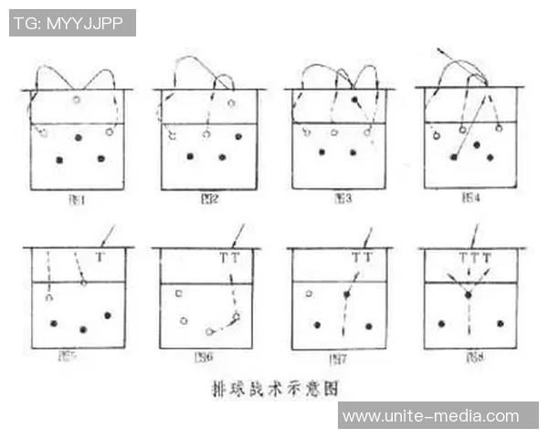 深圳排球队节奏对比深度解析与战术探讨
