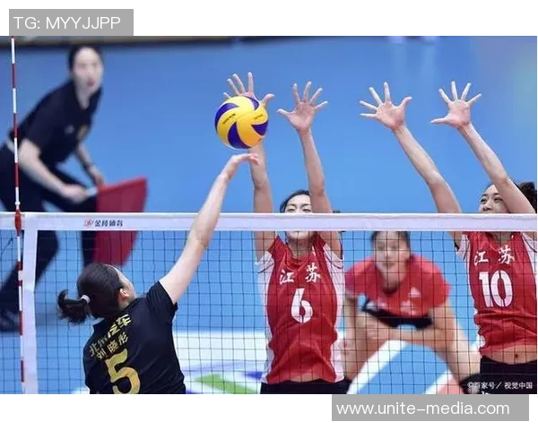 深入探讨上海排球队不同节奏对比及其对比赛表现的影响分析